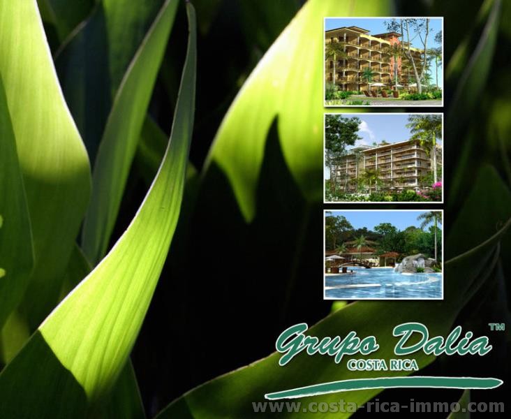 Playa Organo se busca Inversor - Socios - Eco Resort Suenio del Mar - Paquera